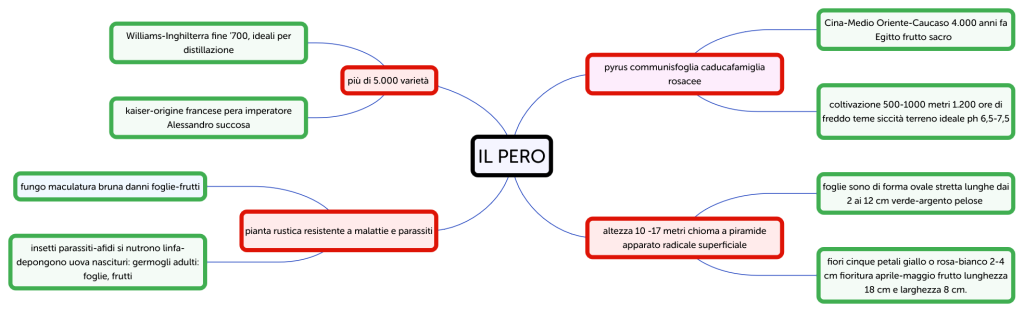 IL PERO - Brainitaly