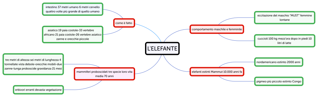 L ELEFANTE - Brainitaly