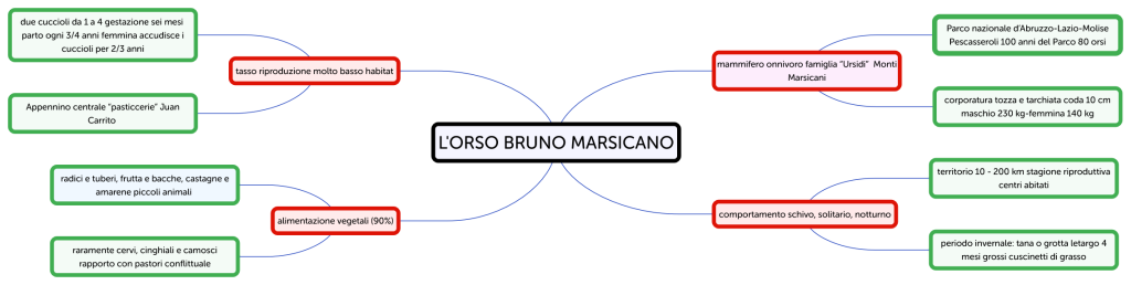 L ORSO BRUNO MARSICANO - Brainitaly