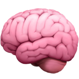 brain - Brainitaly