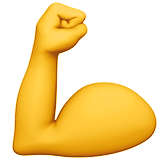 muscle - Brainitaly