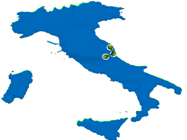 Home 1 italia transparente - Brainitaly